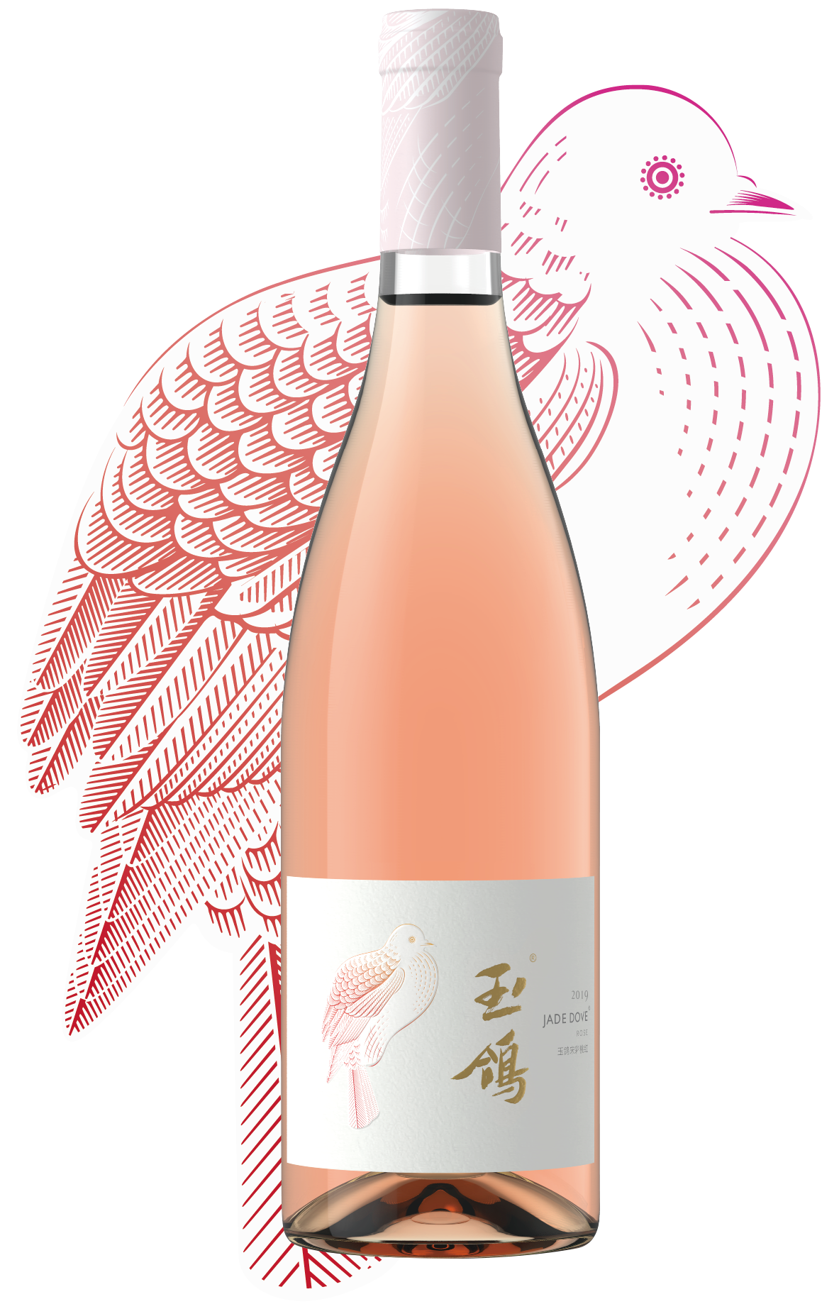 Jade Dove Rose